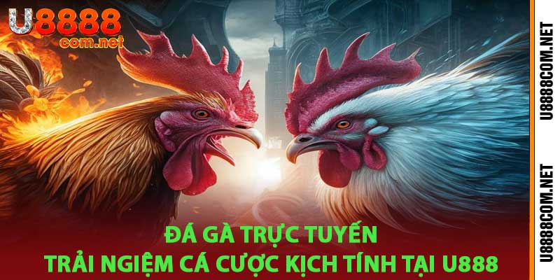Đá Gà Trực Tuyến