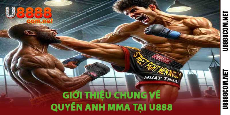 Quyền Anh MMA