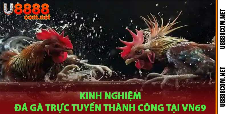 Đá Gà Trực Tuyến